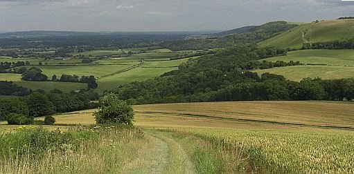 The South Downs in Sussex